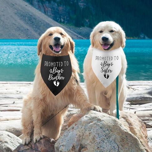 Big Sister Dog Bandana Baby Announcement Dog Bandana Gender Reveal Pink Dog Bandana Baby Announcement Photos Prop Pet Scarf Accessories for Dog Lovers in Saudi Arabia