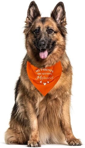 My Parents are Getting Married Dog Bandana, Wedding Dog, Wedding Dog Outfit, Engagement Gift, Wedding Dog Bandana, Engagement Decorations, Engagement Photo Props for Dogs (C10) in Kuwait