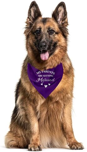 My Parents are Getting Married Dog Bandana, Wedding Dog, Wedding Dog Outfit, Engagement Gift, Wedding Dog Bandana, Engagement Decorations, Engagement Photo Props for Dogs (C10) in Kuwait