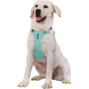 No Pull Dog Harness,Adjustable Lightweight Small Medium Dog Vest Harness with Reflective Strip,Pet Harness with Easy Control Handle,Stops Pets from Pulling and Choking(Rainbow-l)