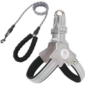 Medium Small Dog Harness, Puppy Leash with Reflective Strips, 4.92 FT Safety Puppy Rope with Adjustable Soft Padded Vest (Yellow Y-Shaped Dog Vest with Rope, S（8.82-22.05 lbs)