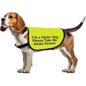 Foster Dog Jacket Vest Please Take Me Home Forever Dog Harness Dog Adoption Slogan Vest (Take Me Home Forever-Medium)