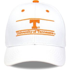 NCAA Florida State Seminoles Unisex NCAA The Game bar Design Hat FSU, White, Adjustable