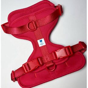 Pup Hugger Harness (Cyan, Small)