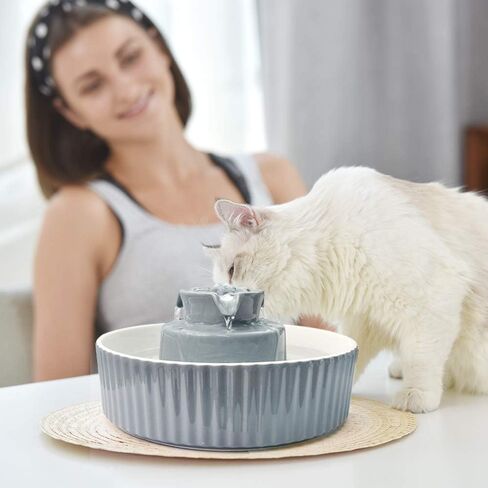 Ceramic Pet Water Fountain, Ultra-Quiet Cat Fountain with USB Port Pump Automatic Water Dispenser for Cats and Dogs (Grey) in Saudi Arabia