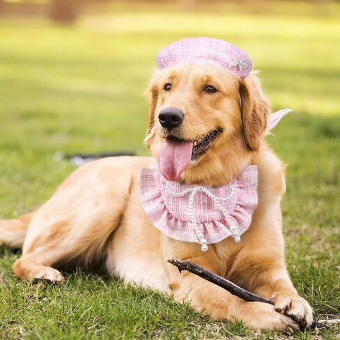 HOWWFALY Pet Princess Costume Halloween Christmas Costumes Cat Birthday Outfit Cat Apparel Dog Party Costumes with Pearl Bowtie Beret Hat Lace Bandana Scarf (Pink) in Saudi Arabia