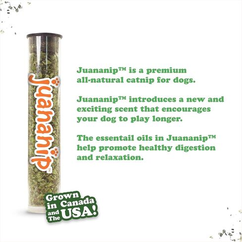 Doggijuana Tuffer Chewer Mini Plush Dog Toy | Funny Dog Toy Plush with Juananip Catnip for Dogs (Stocking Stuffer) in Saudi Arabia