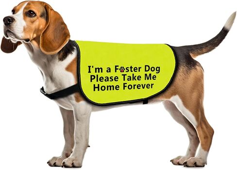 سترة Foster Dog سترة يرجى خذني إلى المنزل للأبد، صدرية تحمل شعار اعتماد الكلاب (خذني إلى المنزل للأبد - متوسط) in Kuwait