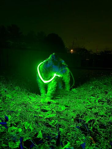 حزام ستيب إن إير للكلاب المزود بإضاءة LED - شبكة مناسبة لجميع الأحوال الجوية، عاكسة للضوء، بدون سحب للكلاب الصغيرة والمتوسطة والقطط - آمن، إبزيم، حلقة على شكل حرف D، قابلة لإعادة الشحن، مقاوم للماء (أزرق، متوسط) in Saudi Arabia