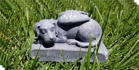 تمثال تذكاري للكلاب من مجموعات RK / تمثال تذكاري للحيوانات الأليفة / حجر علامة قبر الكلب النائم مع أجنحة الملاك المصقولة للأماكن الخارجية أو الداخلية (لمسة نهائية بلون الحجر الطبيعي) in Kuwait