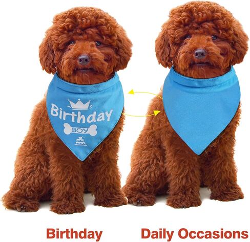 Dog Birthday Bandanas 2 Pack,Reversible Adjustable Pet Scarf for Boy and Girl Small Medium Large Dogs or Cats,Pet Birthday Party,Daily Wear (Pink, Large) in Saudi Arabia