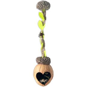 Jumping Spider Hideout,Made from Walnut Bark, a Real Jumping Spider Habitat, Magnetic Jumping Spider Shelter, Handmade Spider Enclosure Accessory (Heart-Shaped Opening)