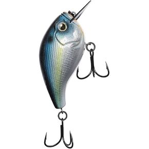 13 طعم صيد السمك - الطعم الصلب in Kuwait