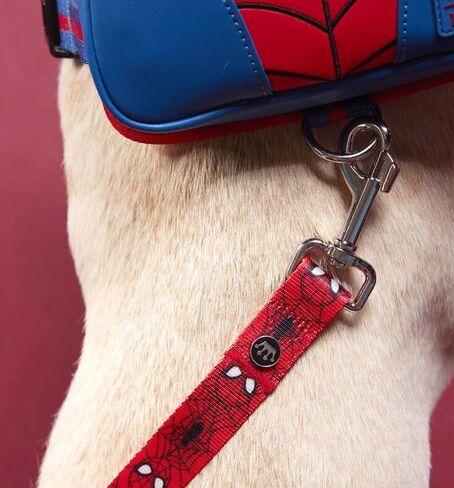 مقود الكلاب من Loungefly Pets Marvel Spider-Man in Kuwait