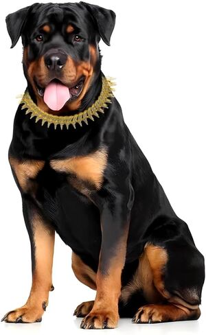 Dog Chain Collar, Side Spiked Style Necklace Bling Diamond Cuban Link Dog Collars Glitter Rhinestone Puppy Collar for for Small Medium Large Pet Dogs (Gold, 24 Inch) in Saudi Arabia