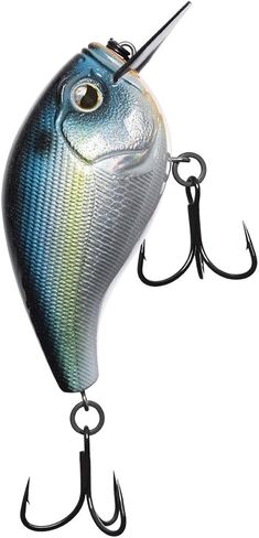 13 طعم صيد السمك - الطعم الصلب in Kuwait