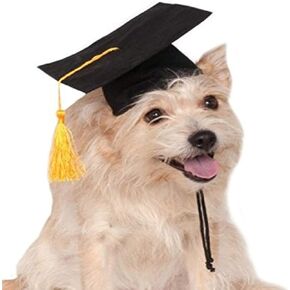 Rubie's Blue Graduation Hat Pet Accessory, Medium/Large