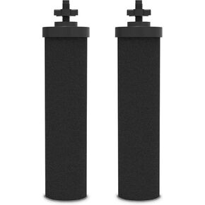 Water Filter Replacement for Berkey, 2 Carbon Filters and 2 Fluoride Filters Compatible with Berkey Gravity Water Filter System, Pack of 4