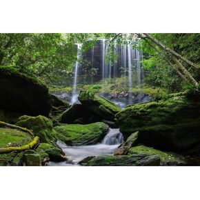 Waterfall Terrarium Background Tropical Rainforest Aquarium Background Green Tree Mountain Lake Reptile Habitat Background Stone Moss Nature Landscape Background Decor Vinyl 36x18in