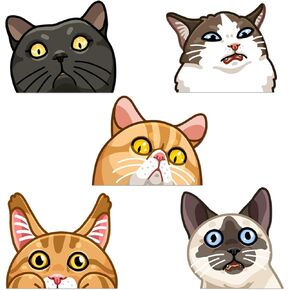 Funny Cat Face Meme Stickers; Waterproof Silly Peeker Decals for Laptops, Tumblers, Journals, Phones, Luggage, Cars; Original Designs by Caba Stickers