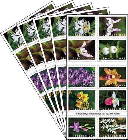 Wild Orchids (Booklet of 20) First-Class Mail Forever Postage Stamps 2020 Scott 5445-5454 in Saudi Arabia
