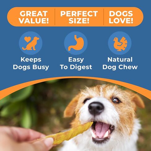 USA Turkey Tendons for Dogs - Tasty Turkey Tendon Jerky Treats for Dogs All Natural Dog Treats & Dog Snacks for Small Dogs - Ideal Puppy Teething Chews Dog Turkey Tendons 8oz in Saudi Arabia