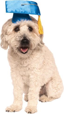 Rubie's Blue Graduation Hat Pet Accessory, Medium/Large in Saudi Arabia