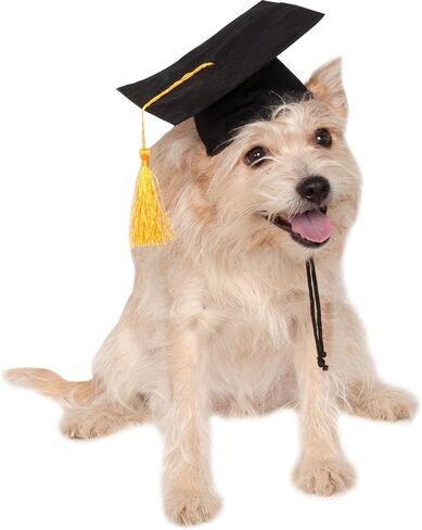 Rubie's Blue Graduation Hat Pet Accessory, Medium/Large in Saudi Arabia