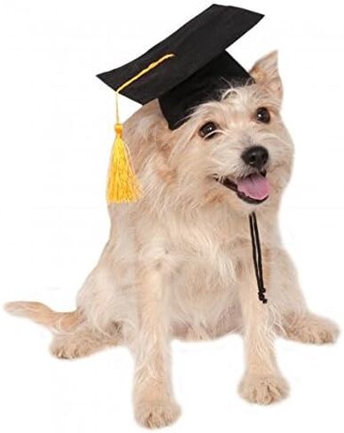 Rubie's Blue Graduation Hat Pet Accessory, Medium/Large in Saudi Arabia