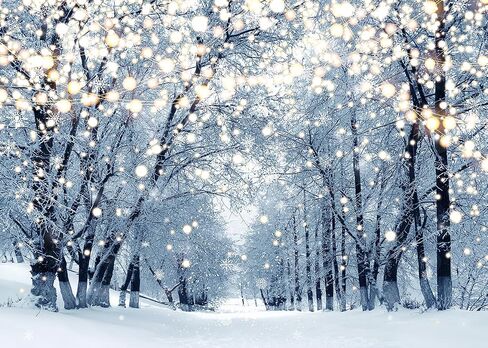 Winter Scene Backdrop for Photography 7x5FT Glitter White Snow Forest Wonderland Landscape Background for Family Christmas Party Decoration Xmas Holiday Portrait Photo Studio Props (84x60 inch) in Saudi Arabia
