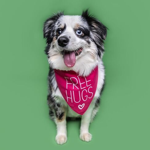 Free Hugs Valentine's Day Dog Bandana (Red, OS 379) in Saudi Arabia