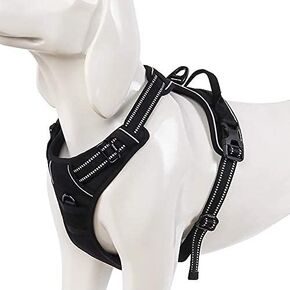 WINHYEPET True Love Dog Harness, No-Pull Reflective Pet Harness with 2 Leash Clips Adjustable Soft Padded Dog Vest with Easy Control Handle for Small Medium Large Dogs TLH5651(Neon Yellow,S)