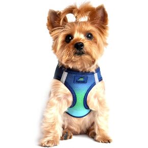 DOGGIE DESIGN American River Dog Harness Ombre Collection - Northern Lights S
