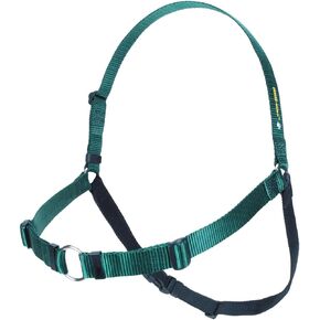 Sense-ation No-Pull Dog Harness (Green, Extra Large)