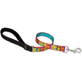LupinePet Originals 3/4" Crazy Daisy 2-Foot Traffic Lead/Leash for Medium and Larger Dogs