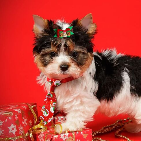 MTLEE 50 جهاز كمبيوتر شخصى الكلب الشعر الانحناء عيد الميلاد الكلب الانحناء الخريف الكلب الانحناء مع الأربطة المطاطية اليقطين ثلج جرو يوركي القط فراشة Topknot حجر الراين اللؤلؤ عيد الميلاد سانتا الملحقات، نمط سانتا in Kuwait