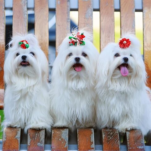 MTLEE 50 جهاز كمبيوتر شخصى الكلب الشعر الانحناء عيد الميلاد الكلب الانحناء الخريف الكلب الانحناء مع الأربطة المطاطية اليقطين ثلج جرو يوركي القط فراشة Topknot حجر الراين اللؤلؤ عيد الميلاد سانتا الملحقات، نمط سانتا in Kuwait