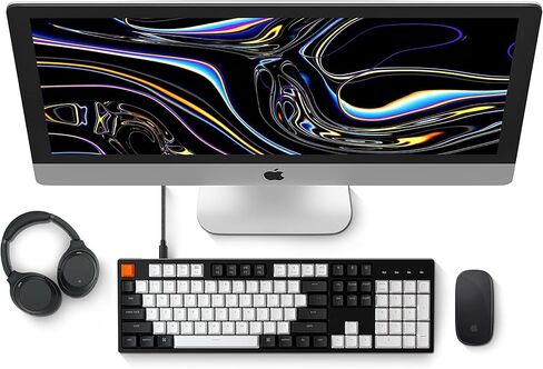Keychron C2 104 Keys Full Size Wired Mechanical Keyboard for Mac Windows, RGB LED Backlit Double-Shot ABS Keycaps Gateron G Pro Brown Switch USB-C Gaming Keyboard for Gamer/Typists/Office/Home in Saudi Arabia