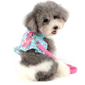 SELMAI Cat Harness and Leash for Walking Escape Proof Cherry Vest Harness for Small Dogs Boys Girls Kitten Puppies Easy on Jacket Soft Padded Cat Vest for Walking Outdoor Spring Autumn XS