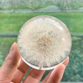 NouvoCrescent Real Dandelion Paperweight - Home Decor Crystal Ball Flower Globe 2.75in (70mm) - Dandelion Desk Decor Clear Resin Ball with Flat Bottom - Sphere Figurine Paper Weights Office Decor