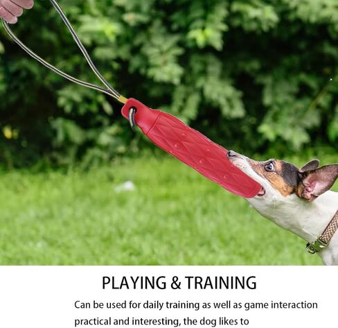 2PCS Floating Dog Toys for Water Fetch, Interactive Dog Toys, 11.8" Dog Water Toys, Dog Pool Float Toys, Outdoor Dog Toys with Rope, Dog Floats for Pool, Dog Throw Toy for Small Medium Large Dogs in Saudi Arabia