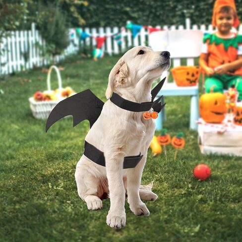 Halloween Dog Bat Wings, Cute Dog Costume Bat Wings Halloween Dog Collar Bat Wings with Pumpkin Bell Bat Costume for Cats Dogs Party Decoration Dress Up Funny Cosplay Costumes (M) in Saudi Arabia