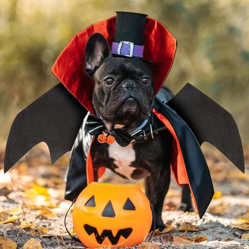 Halloween Dog Bat Wings, Cute Dog Costume Bat Wings Halloween Dog Collar Bat Wings with Pumpkin Bell Bat Costume for Cats Dogs Party Decoration Dress Up Funny Cosplay Costumes (M) in Saudi Arabia