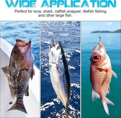 Circle Hooks,Saltwater Stainless Steel Tuna Strong Fishing Hooks Non-Offset/Closed Eye/Wide Gap Catfish Big Game Fishing Hook for Swordfish Shark 25pcs/40pcs in Kuwait