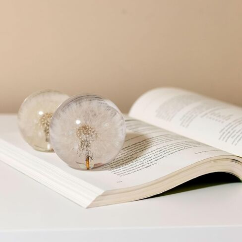 NouvoCrescent Real Dandelion Paperweight - Home Decor Crystal Ball Flower Globe 2.75in (70mm) - Dandelion Desk Decor Clear Resin Ball with Flat Bottom - Sphere Figurine Paper Weights Office Decor in Kuwait