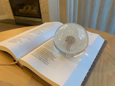 NouvoCrescent Real Dandelion Paperweight - Home Decor Crystal Ball Flower Globe 2.75in (70mm) - Dandelion Desk Decor Clear Resin Ball with Flat Bottom - Sphere Figurine Paper Weights Office Decor in Kuwait