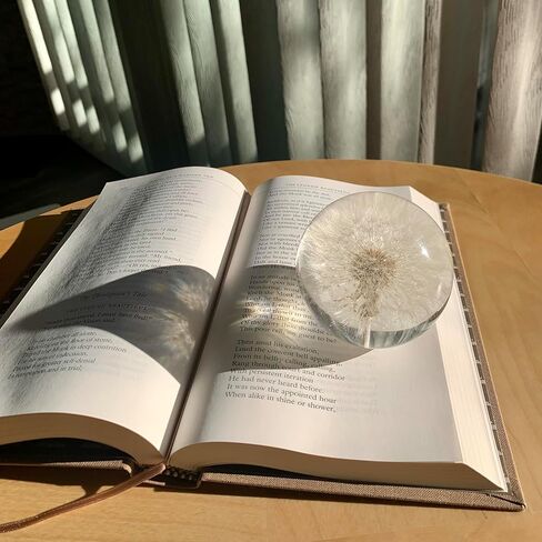 NouvoCrescent Real Dandelion Paperweight - Home Decor Crystal Ball Flower Globe 2.75in (70mm) - Dandelion Desk Decor Clear Resin Ball with Flat Bottom - Sphere Figurine Paper Weights Office Decor in Kuwait