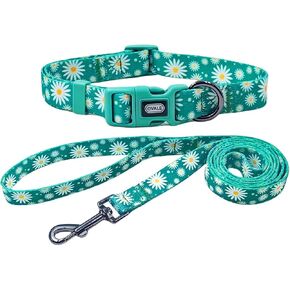 Ovale Dog Collar Leash Combo Set, Adjustable Collar and 5 ft Matching Leash, for Medium Dogs.(M, Light Pink Daisy)
