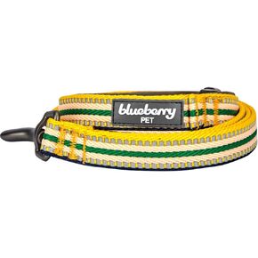 Blueberry Pet 3M Reflective Multi-Colored Stripe Dog Leash with Soft & Comfortable Handle, 4 ft x 1", Yellow & Green, Large, Leashes for Dogs
