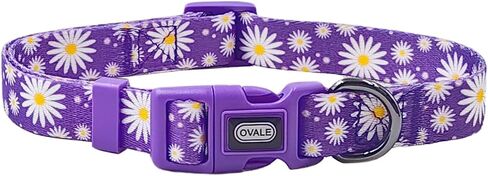 Ovale Dog Collar Leash Combo Set, Adjustable Collar and 5 ft Matching Leash, for Medium Dogs.(M, Light Pink Daisy) in Saudi Arabia
